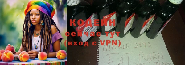 дмт Арсеньев
