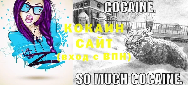 дмт Арсеньев