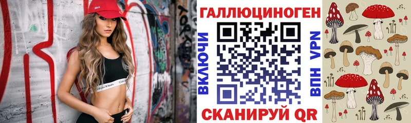 shop какой сайт  Менделеевск  Псилоцибиновые грибы Psilocybe 